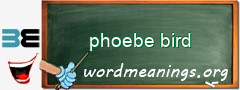 WordMeaning blackboard for phoebe bird